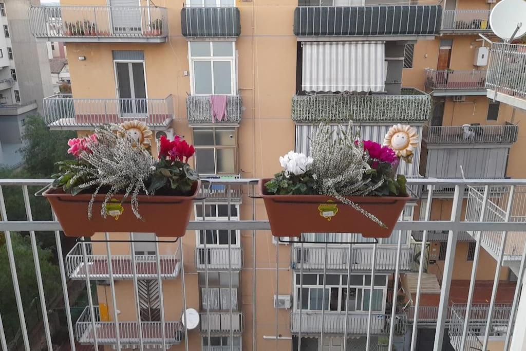 Casa Galea *